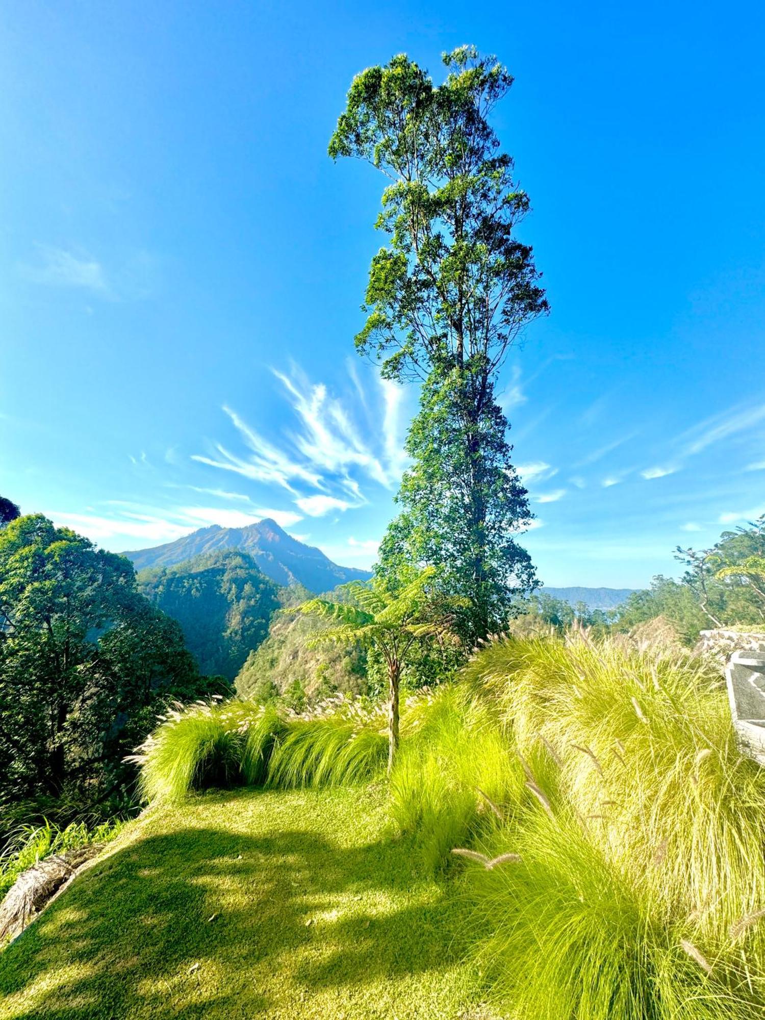 Alengkong Bali Camp Hotel Bangli Luaran gambar